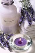 Lavender