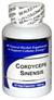 Cordyceps Sinensis
